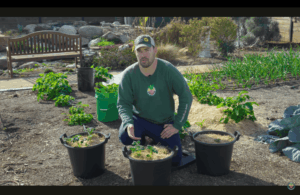 Continue reading Grow Potatoes the Easy Way With Epic Gardening